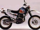 1994 Yamaha TT-R 250 Raid